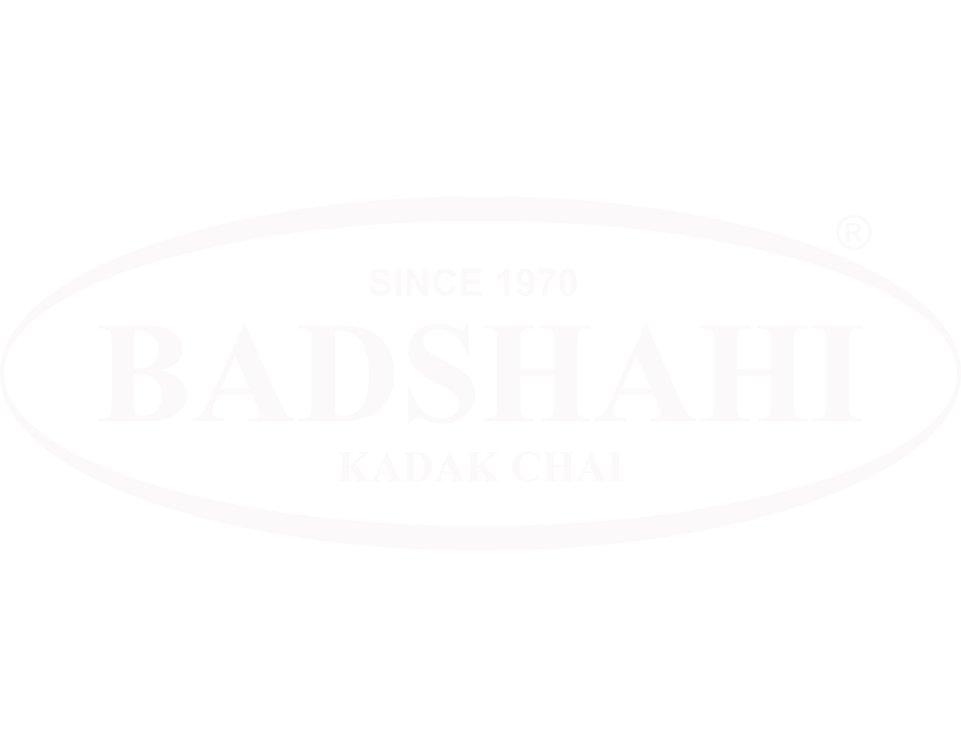Mr Badshah Restaurant